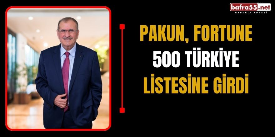 Pakun, Fortune 500 Türkiye Listesine Girdi