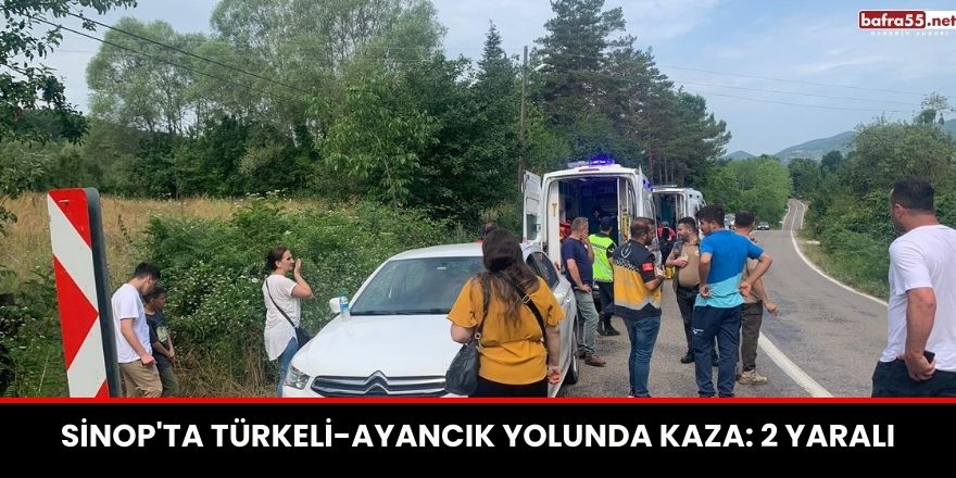 Sinop'ta Türkeli-Ayancık Yolunda Kaza: 2 Yaralı