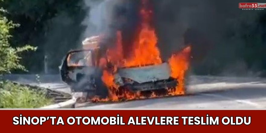 Sinop’ta otomobil alevlere teslim oldu