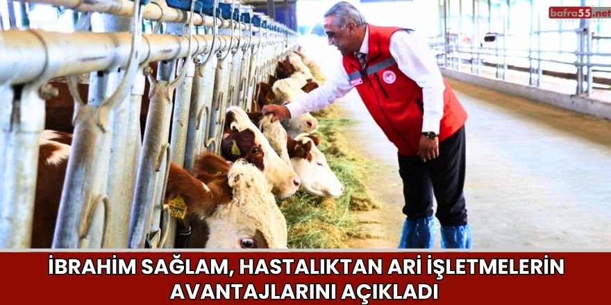 İbrahim Sağlam, Hastalıktan Ari İşletmelerin Avantajlarını Açıkladı