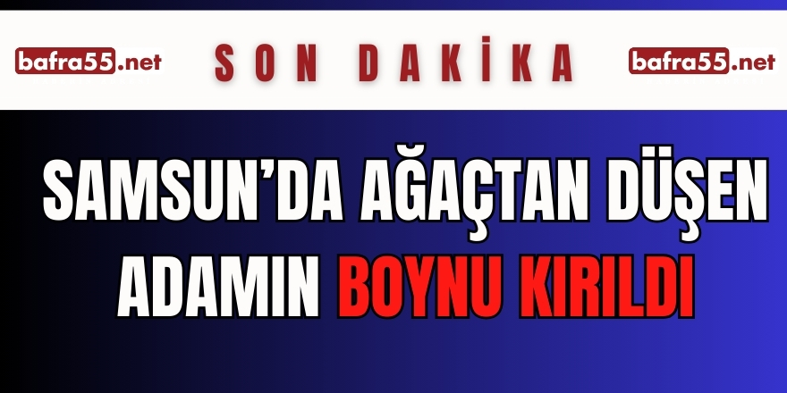 Samsun'da Ağaçtan Düşen Adamın Boynu Kırıldı