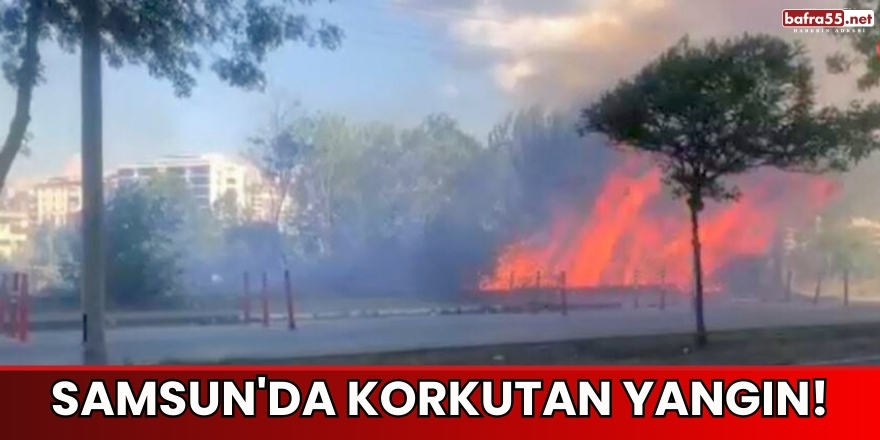 Samsun'da Korkutan Yangın