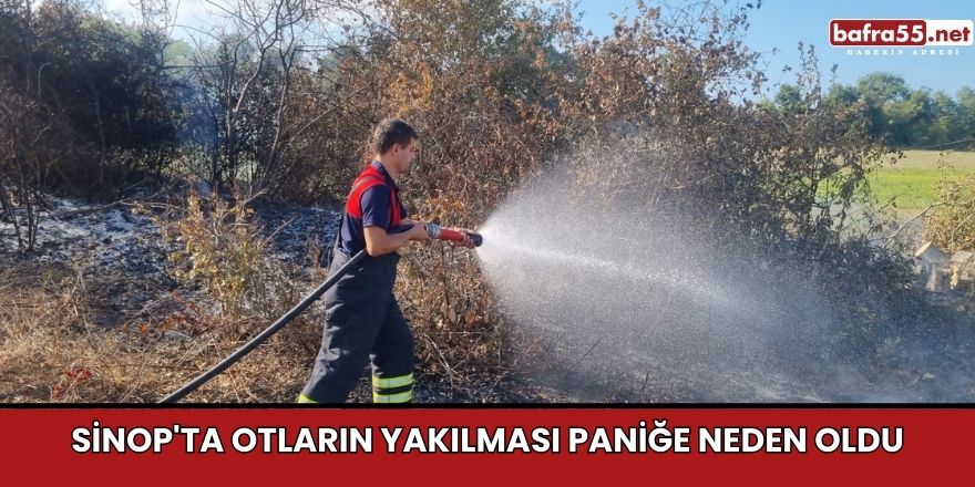 Sinop'ta otların yakılması paniğe neden oldu