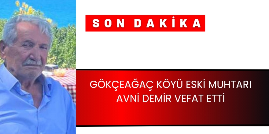 GÖKÇEAĞAÇ KÖYÜ ESKİ MUHTARI AVNİ DEMİR VEFAT ETTİ