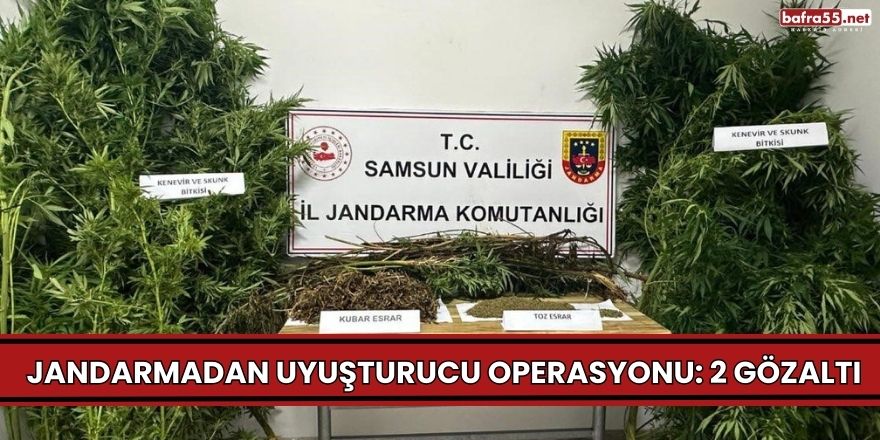 Jandarmadan uyuşturucu operasyonu: 2 gözaltı