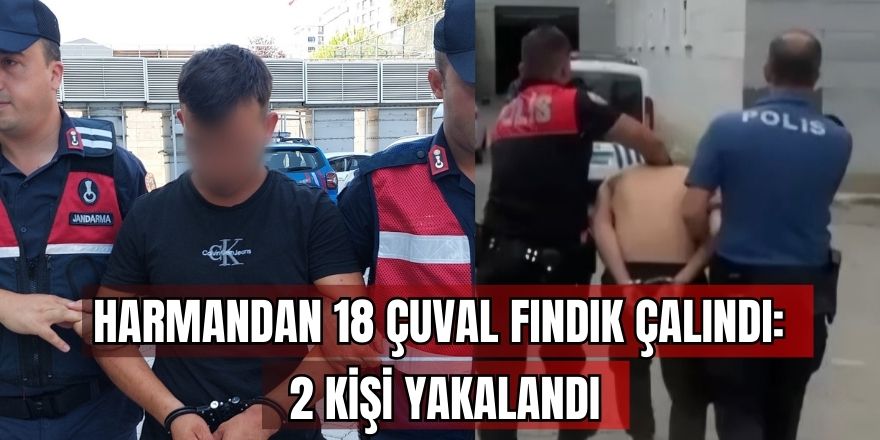 Harmandan 18 çuval fındık çalındı: 2 kişi yakalandı