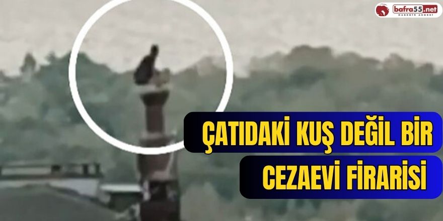 Cezaevi firarisi polisten kaçarken çıktığı çatıdaki bacanın üzerinde yakalandı