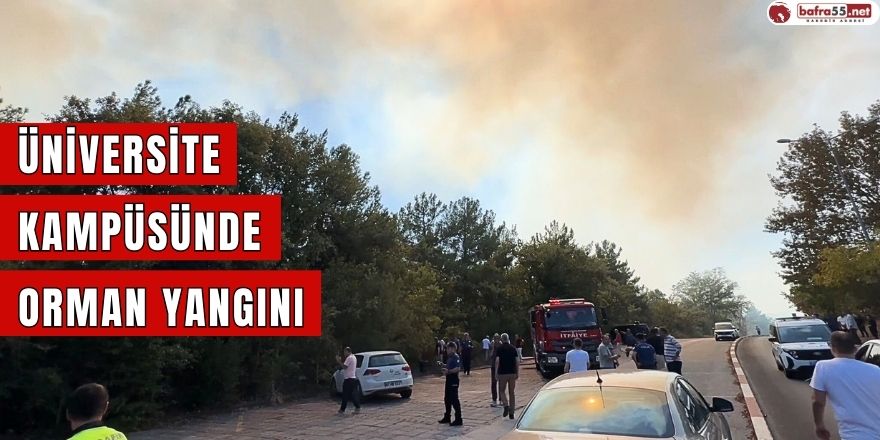 Üniversite kampüsünde orman yangını