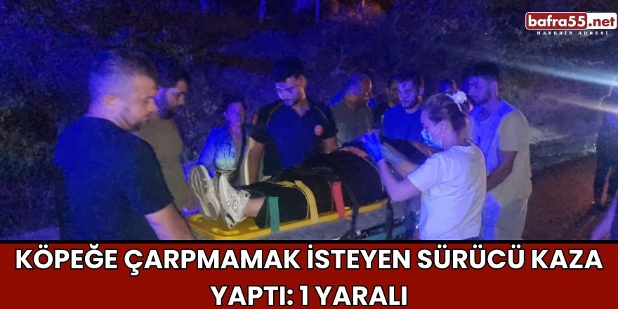 Köpeğe Çarpmamak İsteyen Sürücü Kaza Yaptı: 1 Yaralı