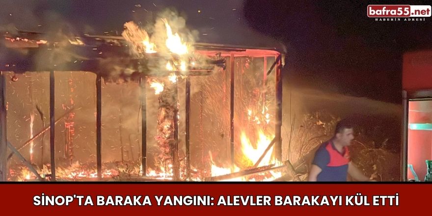 Sinop'ta Baraka Yangını: Alevler Barakayı Kül Etti