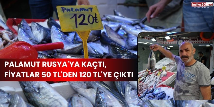 Palamut Rusya'ya kaçtı, fiyatlar 50 TL'den 120 TL'ye çıktı