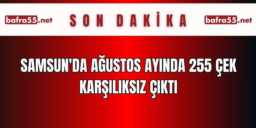 Samsun'da Ağustos ayında 255 çek karşılıksız çıktı