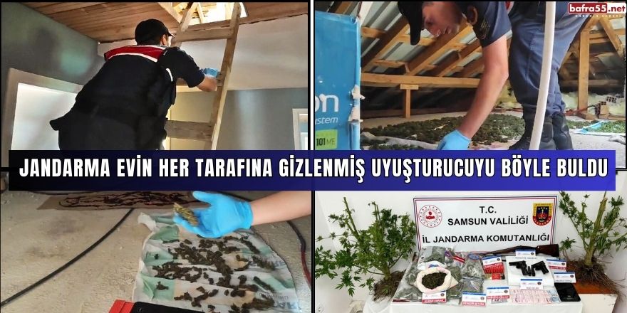 Jandarma evin her tarafına gizlenmiş uyuşturucuyu böyle buldu