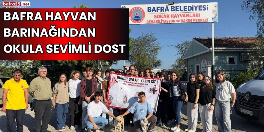 Bafra hayvan barınağından okula sevimli dost