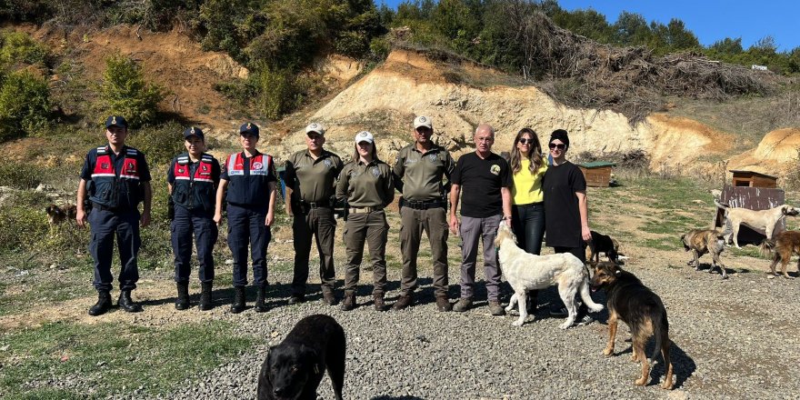 Samsun'da sokak hayvanlarına destek