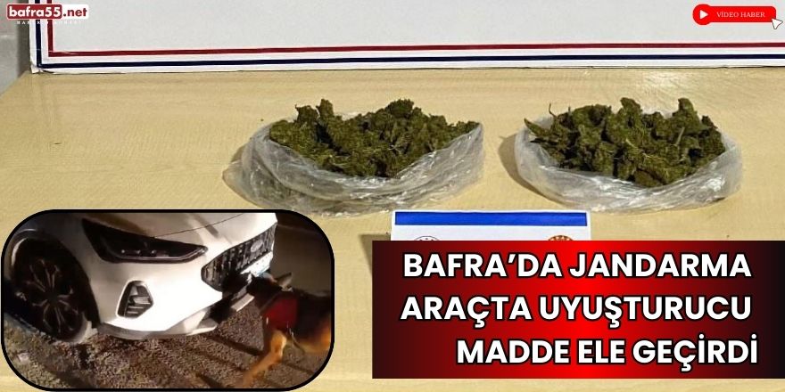 Bafra’da Jandarma Operasyonunda 500 Gram Skunk Ele Geçirildi