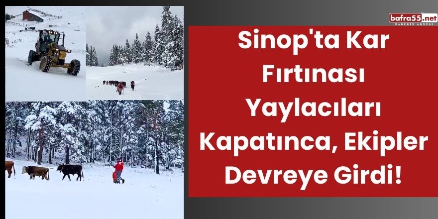 Sinop'ta Kar Fırtınası Yaylacıları Kapatınca, Ekipler Devreye Girdi!