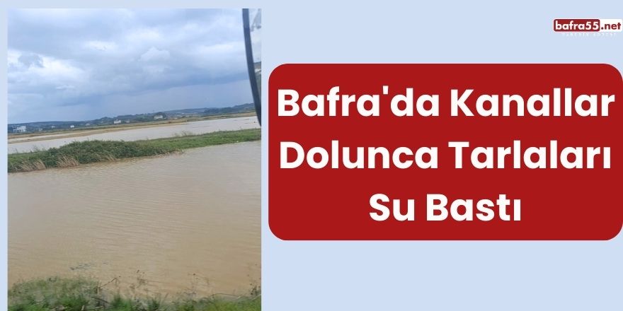 Bafra'da Kanallar Dolunca Tarlaları Su Bastı