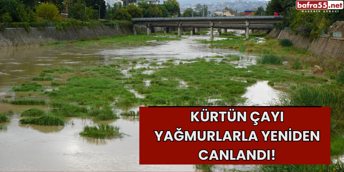 Kürtün Çayı Yağmurlarla Yeniden Canlandı!