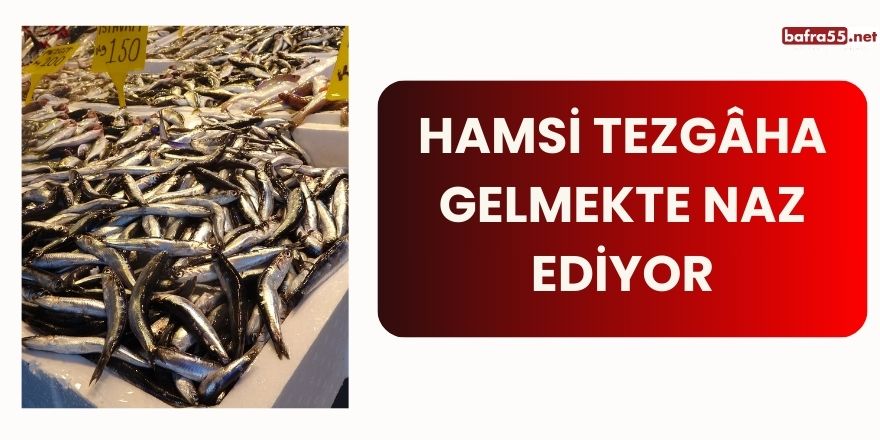 Hamsi tezgâha gelmekte naz ediyor