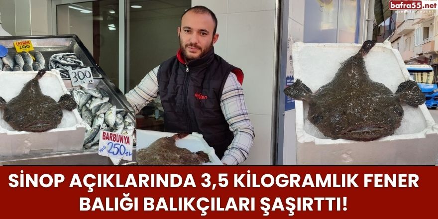 Sinop Açıklarında 3,5 Kilogramlık Fener Balığı Balıkçıları Şaşırttı!