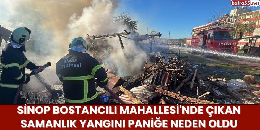 Sinop Bostancılı Mahallesi'nde Çıkan Samanlık Yangını Paniğe Neden Oldu