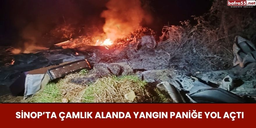 Sinop’ta Çamlık Alanda Yangın Paniğe Yol Açtı