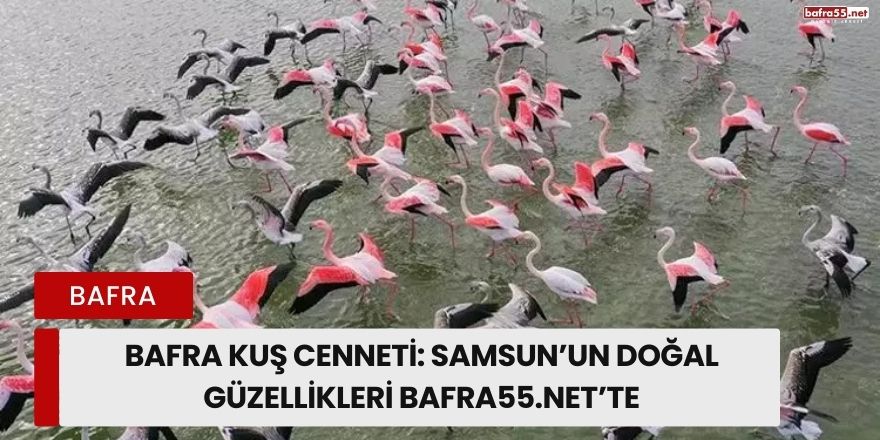 Bafra Kuş Cenneti: Samsun’un Doğal Güzellikleri Bafra55.net’te