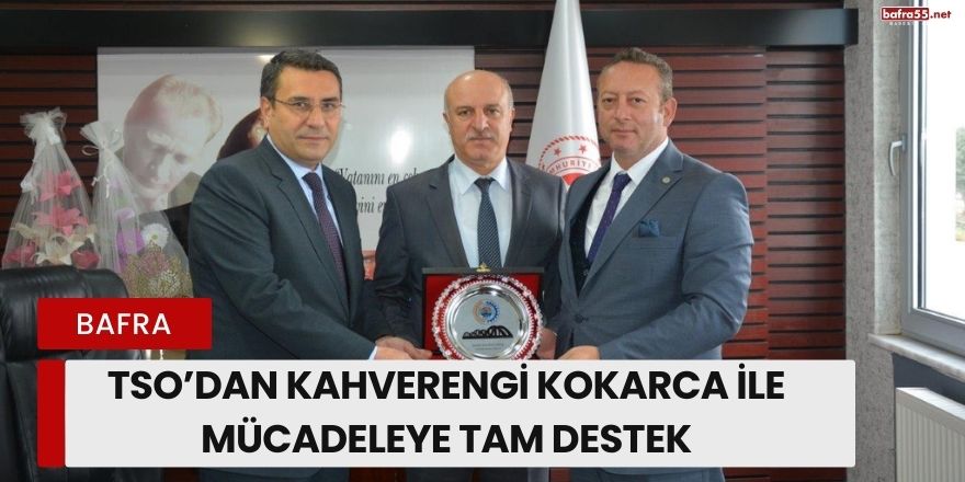 Bafra TSO’dan Kahverengi Kokarca ile Mücadeleye Tam Destek