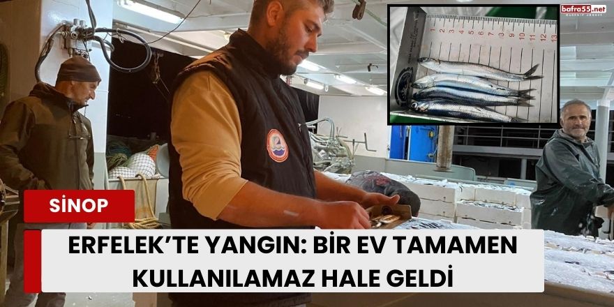 Sinop’ta 5 Ton İstavrite El Konuldu, 5 İdari Para Cezası Uygulandı