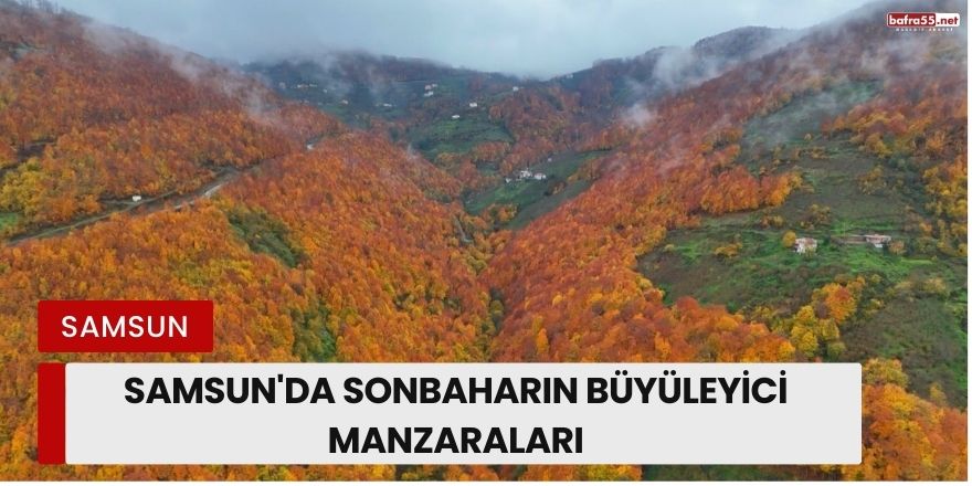 Samsun'da Sonbaharın Büyüleyici Manzaraları: Renk Cümbüşüyle Doğa Şöleni