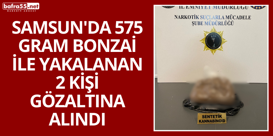 Samsun'da 575 Gram Bonzai ile Yakalanan 2 Kişi Gözaltına Alındı