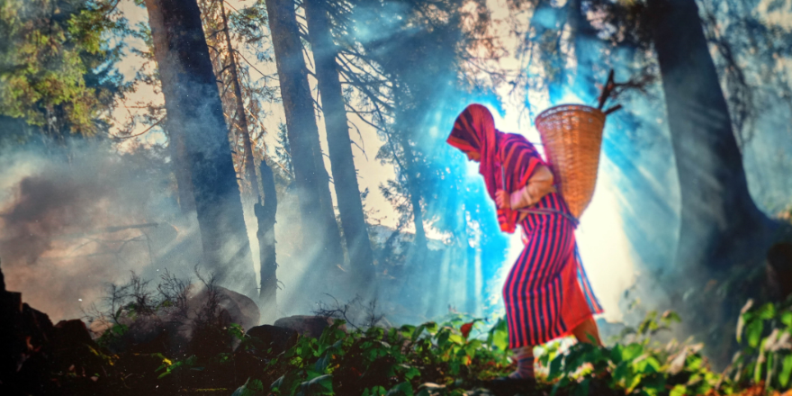 Tarım ve İnsan Fotoğraf Sergisi Samsun’da Açıldı