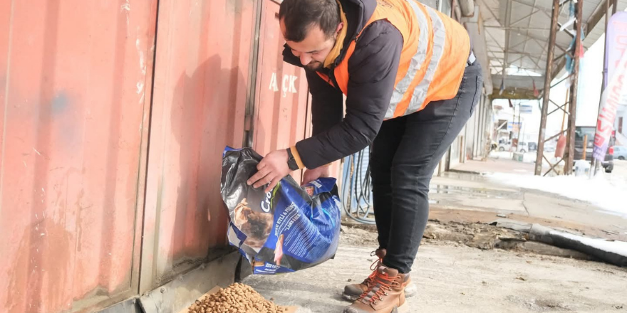 Alaçam’da Sokak Hayvanlarına Kış Desteği