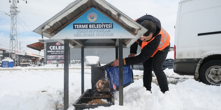 Alaçam’da Sokak Hayvanlarına Kış Desteği