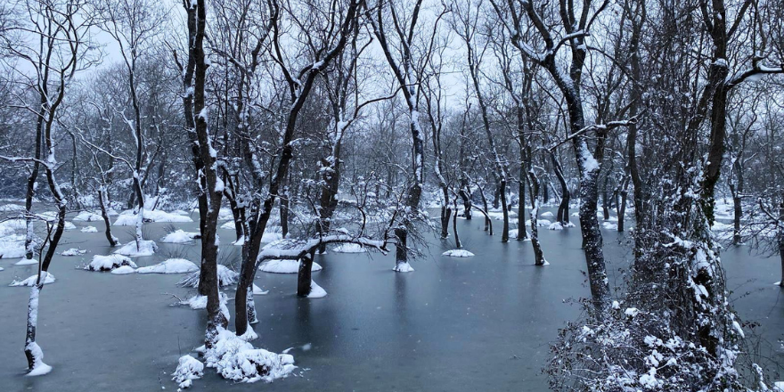 Kuş Cenneti, Kış Cennetine Döndü