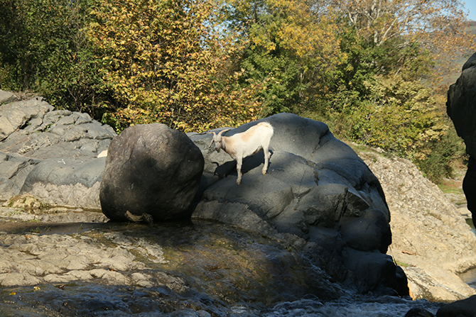 nebiyanda-sonbahar-guzelligi-1.jpg