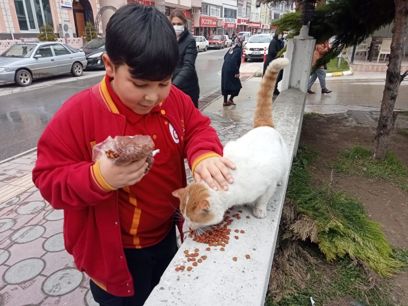 ultraslan-bafradan-sokak-hayvanlarina-anlamli-destek.jpg